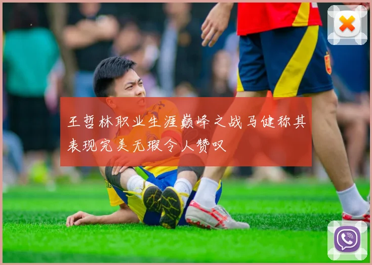王哲林职业生涯巅峰之战马健称其表现完美无瑕令人赞叹