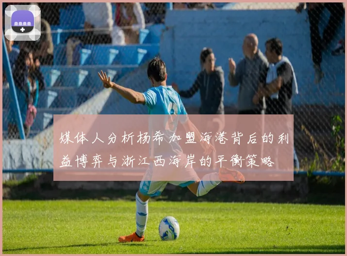 媒体人分析杨希加盟海港背后的利益博弈与浙江西海岸的平衡策略